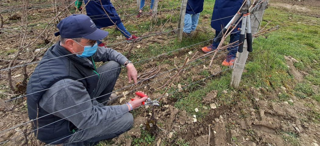 Les échappées by Marcel Vézien, devenez vigneron d'un jour