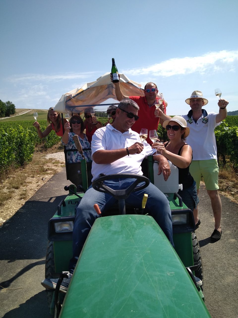 tour en tracteur par une maison de champagne. Les gens trinquent avec leurs coupes