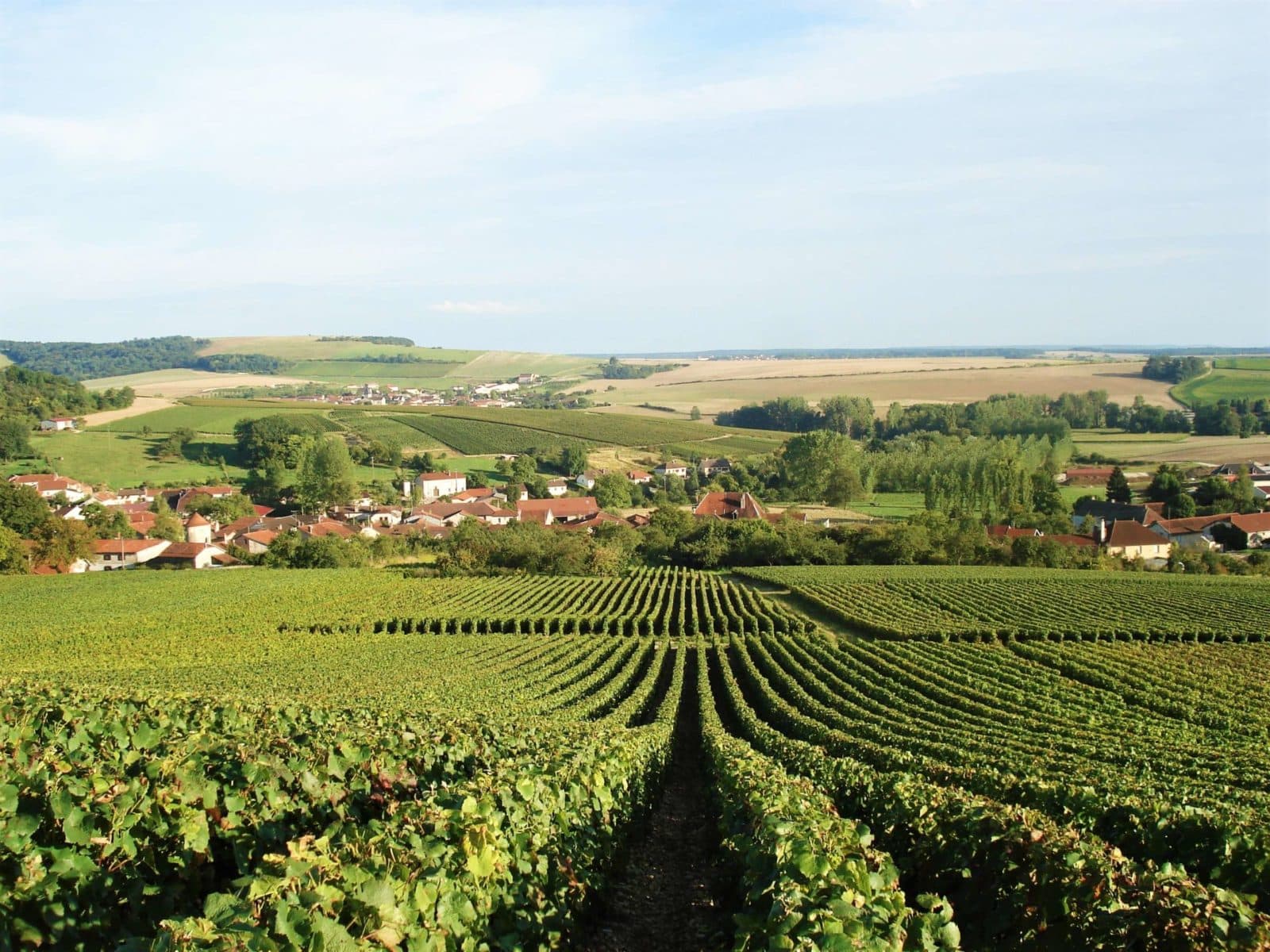 Colombé-la-Fosse, vue sur les vignes et le village