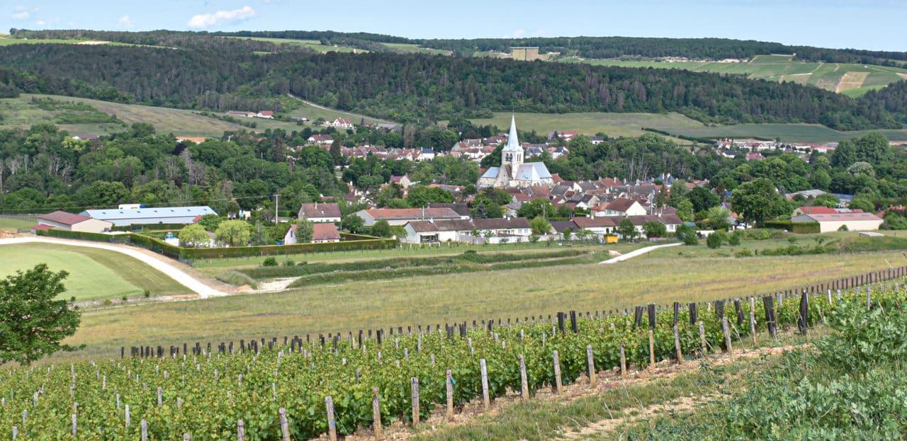 Vue vignes et village des Riceys
