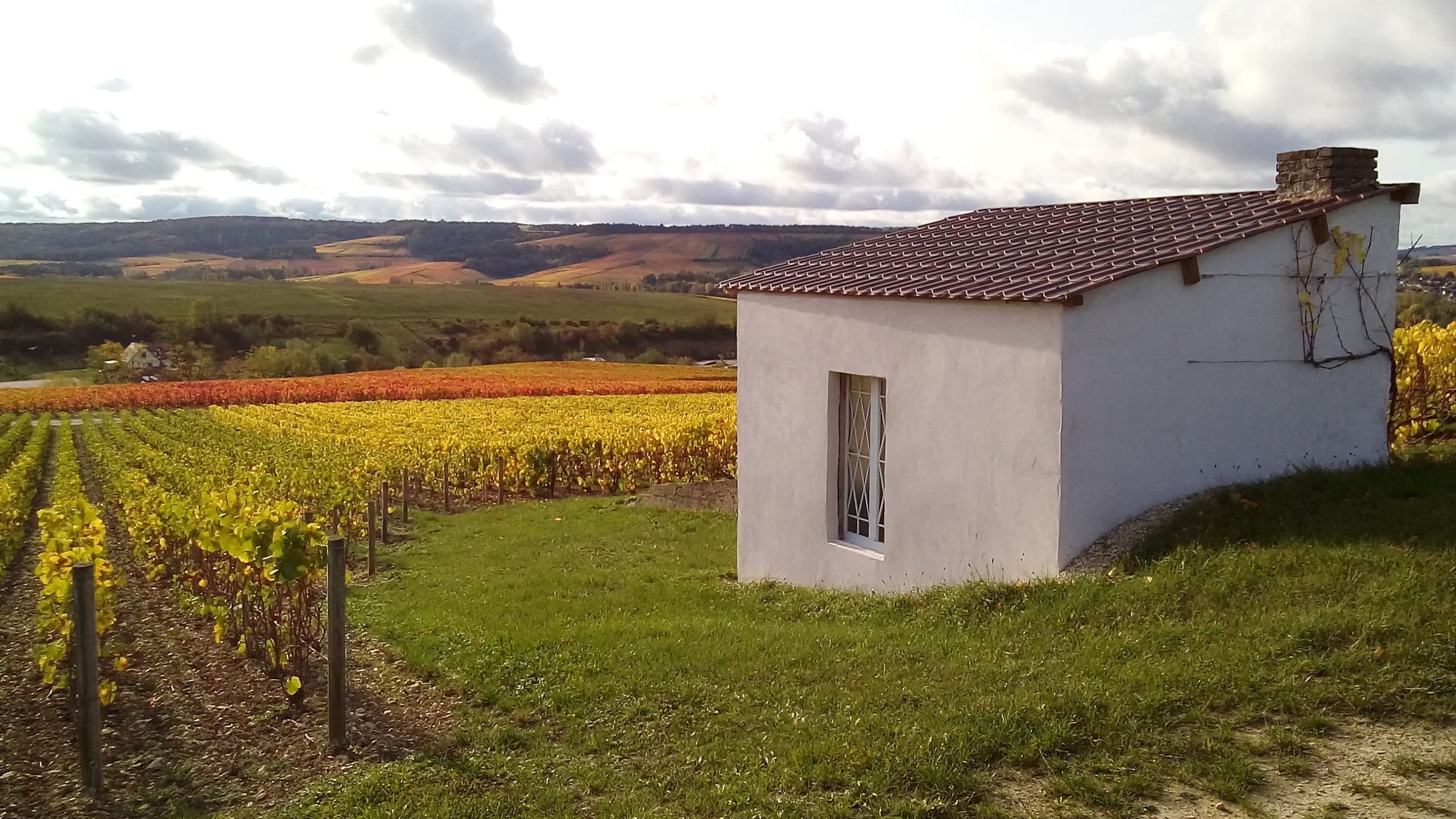 cabane auprès des vignes