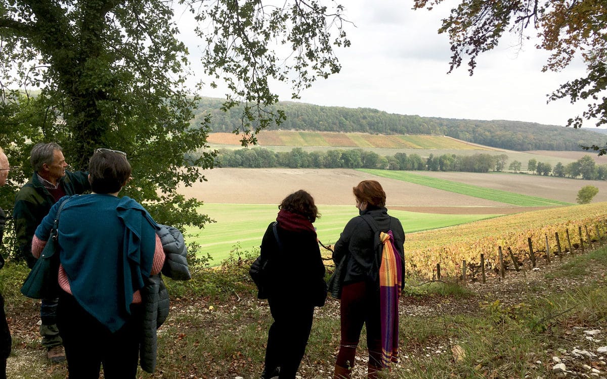 personnes en balade avec les vignes en arrière plan