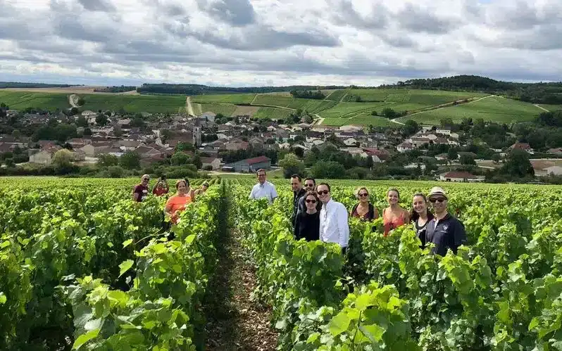 Photo dans les rangs de vignes