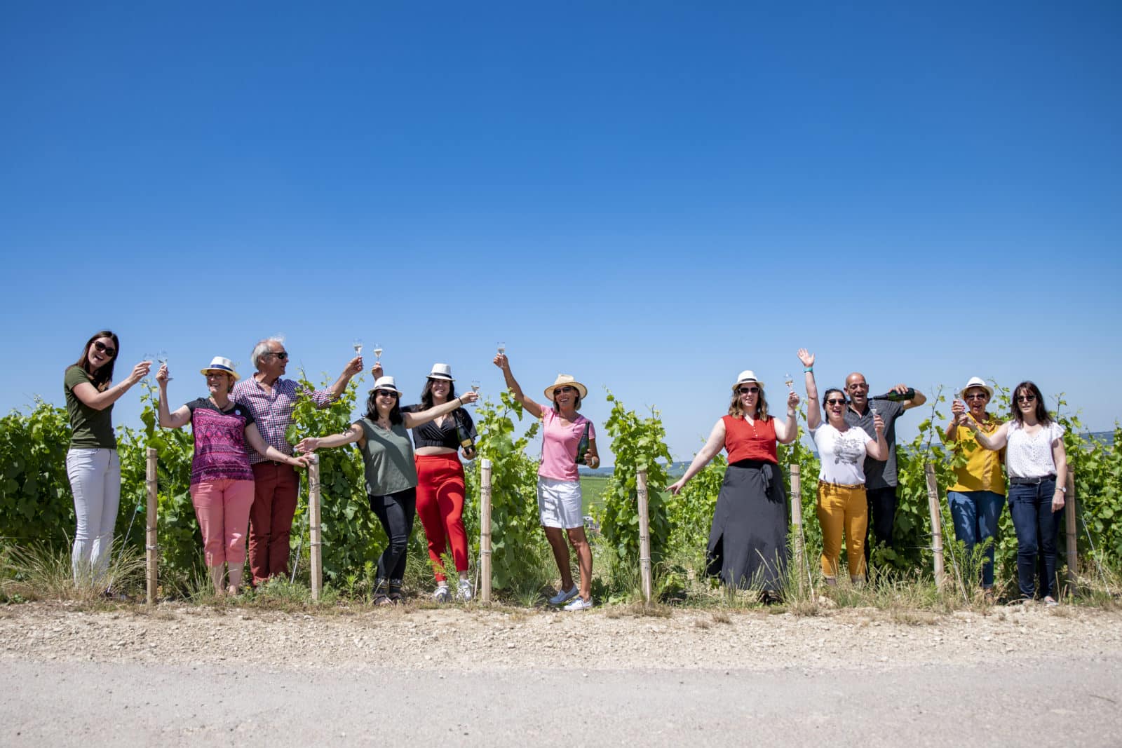 Equipe de l'office de tourisme de la Côte des Bar dans les rangs de vignes de baroville