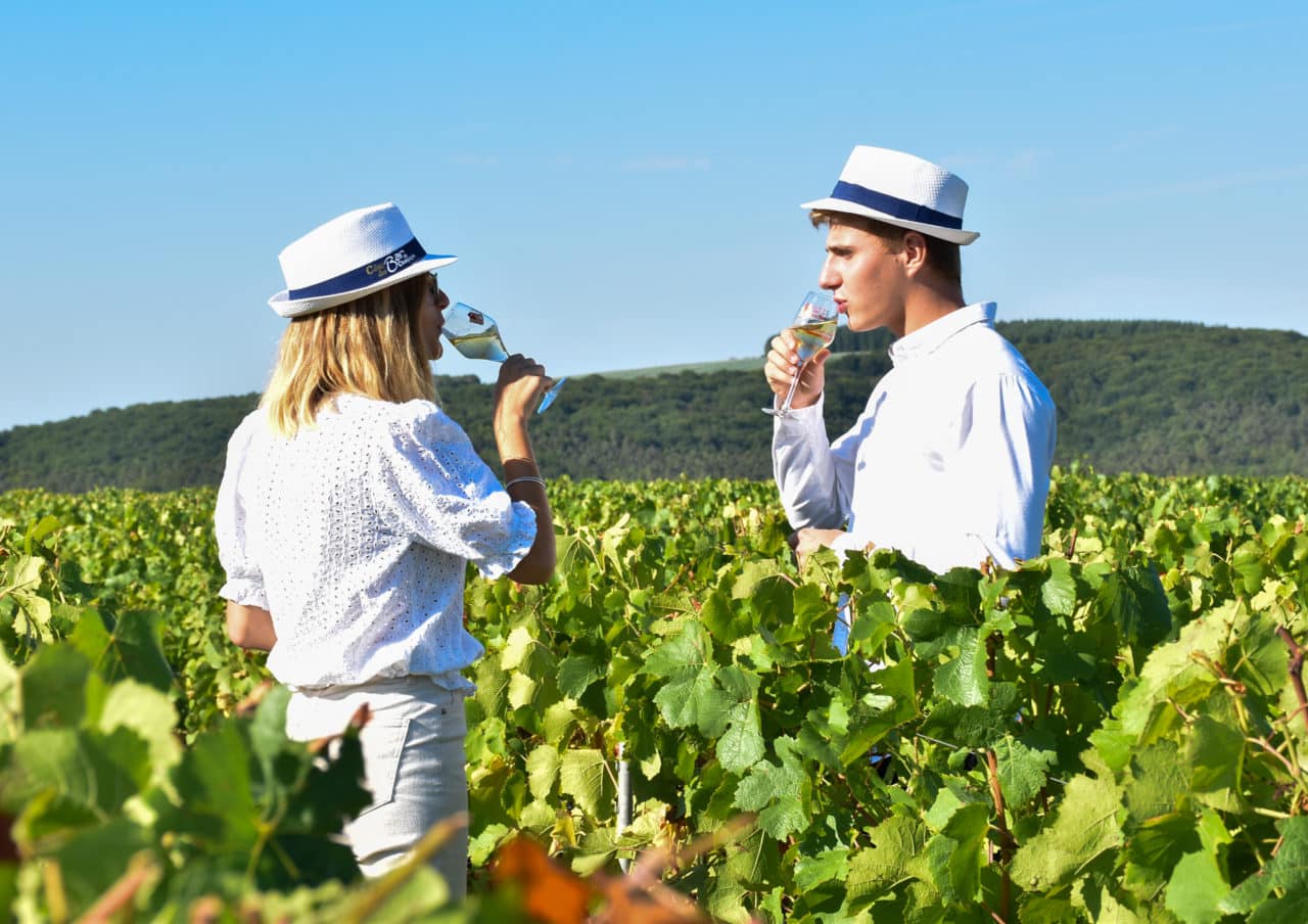 Dégustation de Champagne de la Côte des Bar au coeur des vignes