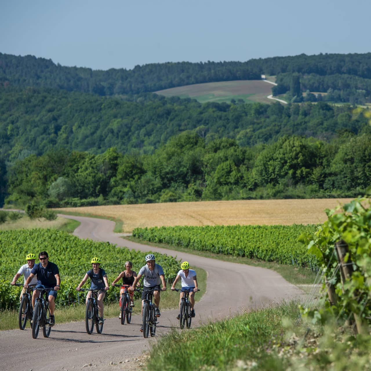 sortie vtt dans les vignes