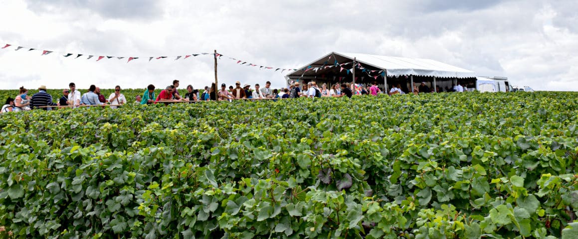 Caves 18 et 19 à la Route du Champagne en Fête 2023