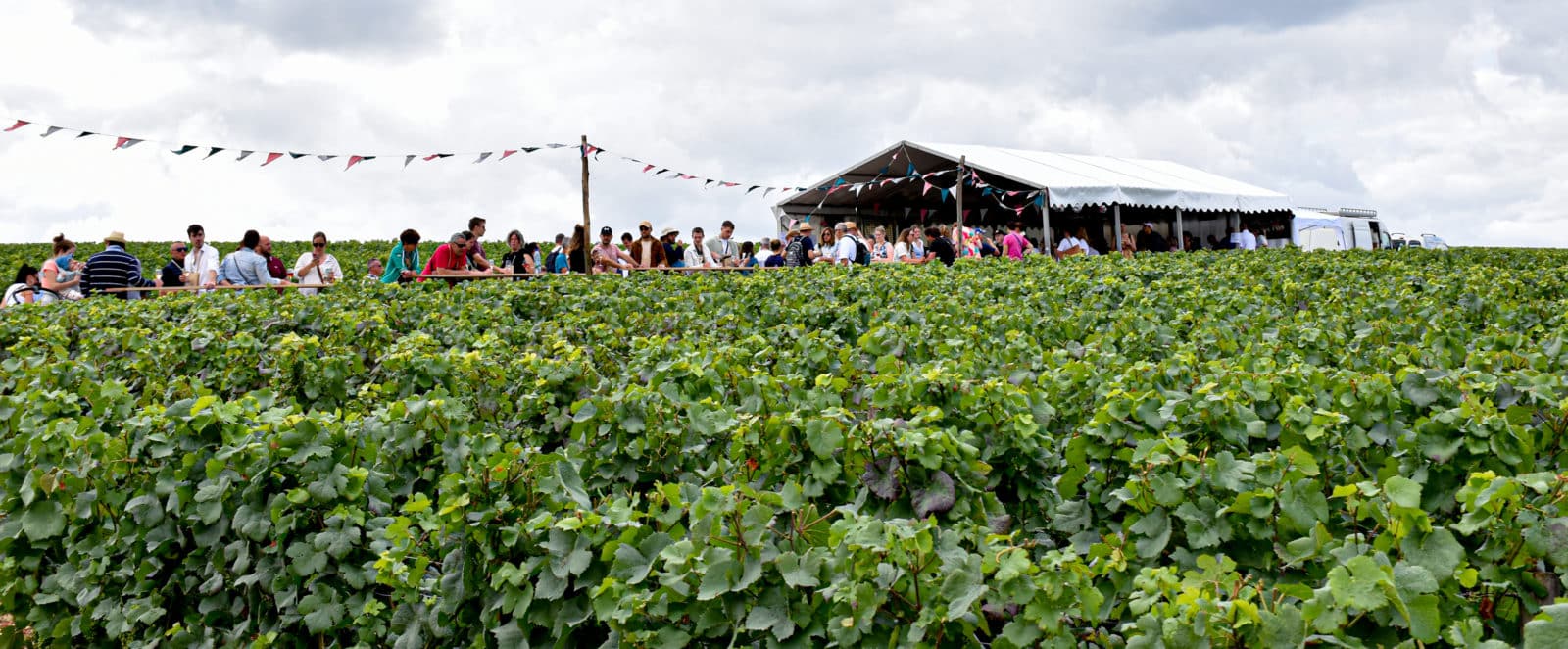 Caves 18 et 19 à la Route du Champagne en Fête 2023