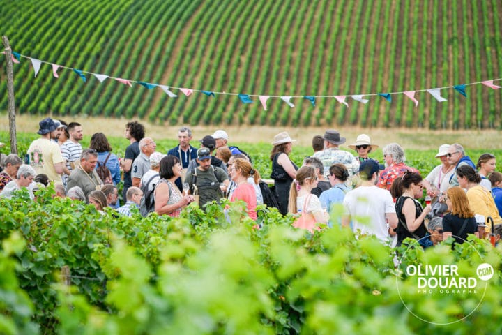 Groupe dans les vignes à la Route du Champagne en Fête