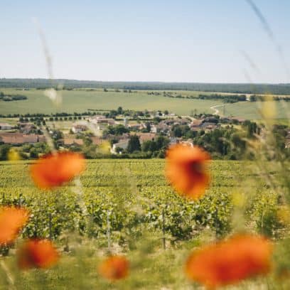 Champignol-lez-Mondeville ©Clara Ferrand