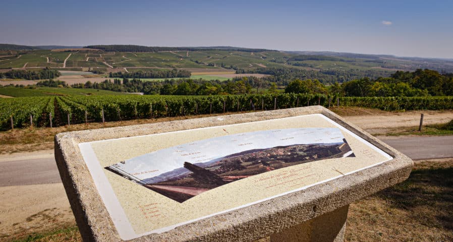 Point de vue de Celles-sur-Ource