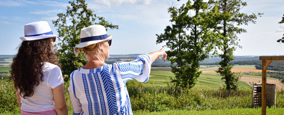 Vignoble - OT Côte des Bar