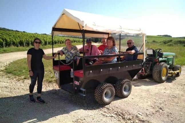 balade en Trak'Tour à la découverte des vignes